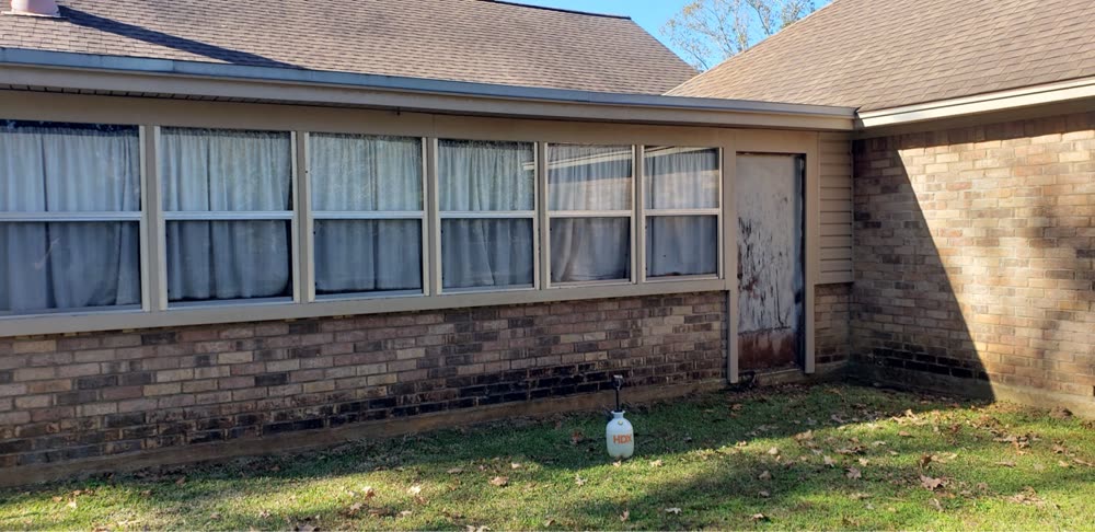 Brick wall before soft washing — covered in algae